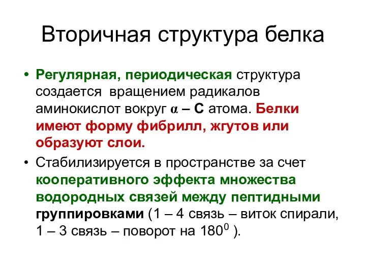 Вторичная структура белка Регулярная, периодическая структура создается вращением радикалов аминокислот