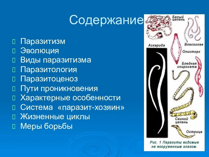 Содержание Паразитизм Эволюция Виды паразитизма Паразитология Паразитоценоз Пути проникновения Характерные