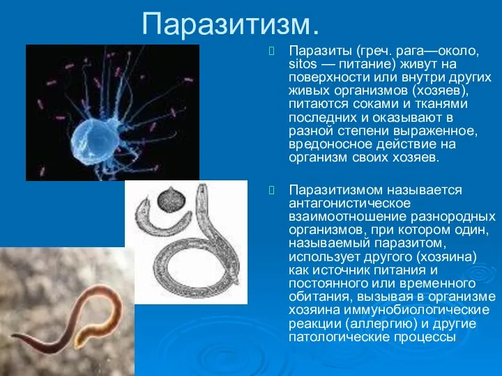 Паразитизм. Паразиты (греч. рага—около, sitos — питание) живут на поверхности