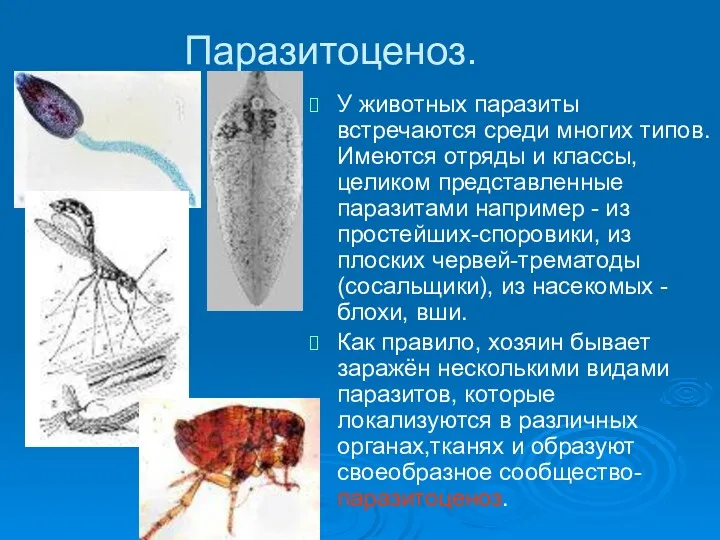 Паразитоценоз. У животных паразиты встречаются среди многих типов. Имеются отряды