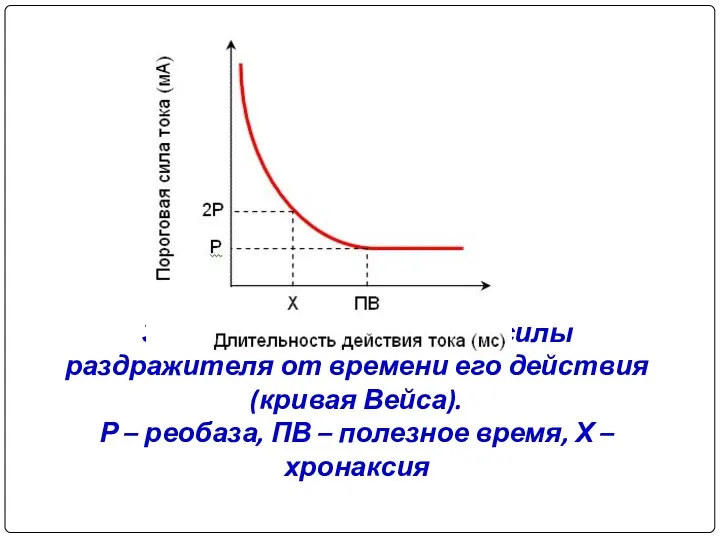 Зависимость пороговой силы раздражителя от времени его действия (кривая Вейса).