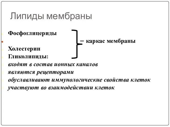 Липиды мембраны Фосфоглицериды – каркас мембраны Холестерин Гликолипиды: входят в