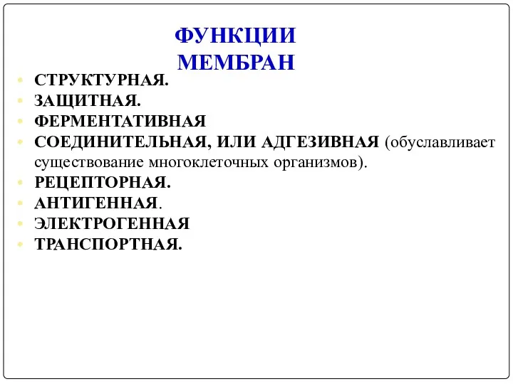 ФУНКЦИИ МЕМБРАН СТРУКТУРНАЯ. ЗАЩИТНАЯ. ФЕРМЕНТАТИВНАЯ СОЕДИНИТЕЛЬНАЯ, ИЛИ АДГЕЗИВНАЯ (обуславливает существование многоклеточных организмов). РЕЦЕПТОРНАЯ. АНТИГЕННАЯ. ЭЛЕКТРОГЕННАЯ ТРАНСПОРТНАЯ.