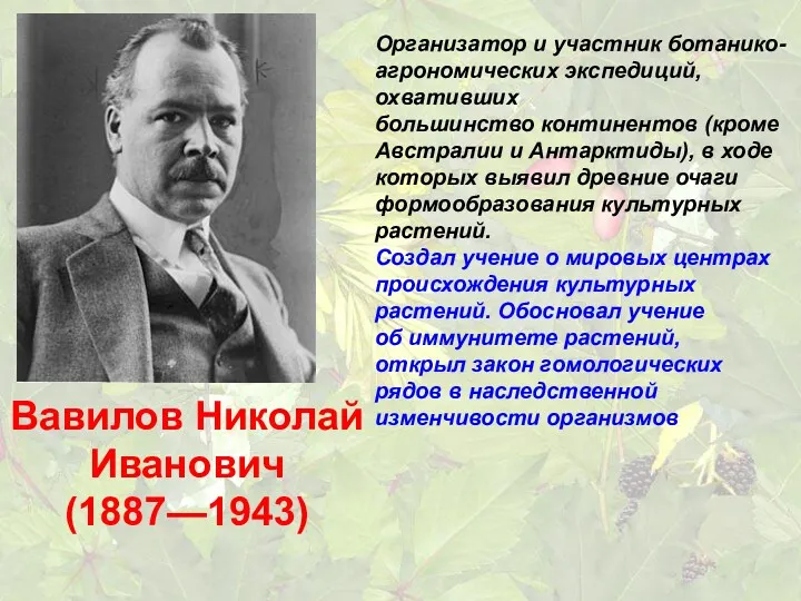 Вавилов Николай Иванович (1887—1943) Организатор и участник ботанико-агрономических экспедиций, охвативших