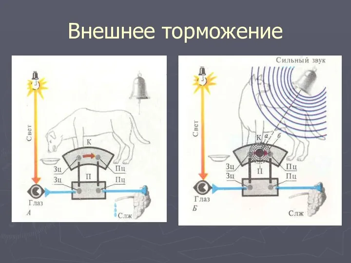 Внешнее торможение