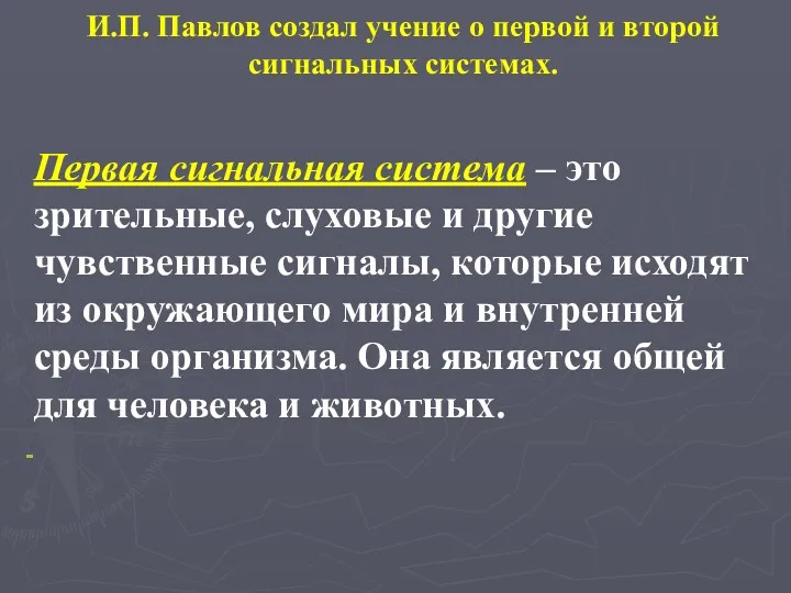 И.П. Павлов создал учение о первой и второй сигнальных системах.