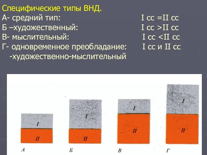 Специфические типы ВНД. А- средний тип: I сс =II сс