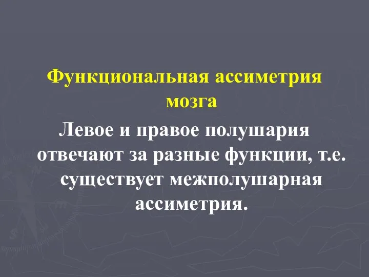 Функциональная ассиметрия мозга Левое и правое полушария отвечают за разные функции, т.е. существует межполушарная ассиметрия.