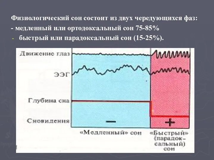 Физиологический сон состоит из двух чередующихся фаз: - медленный или