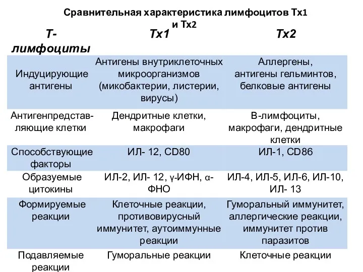 Сравнительная характеристика лимфоцитов Тх1 и Тх2