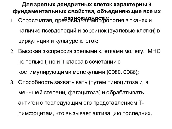 Отростчатая, древовидная морфология в тканях и наличие псевдоподий и ворсинок