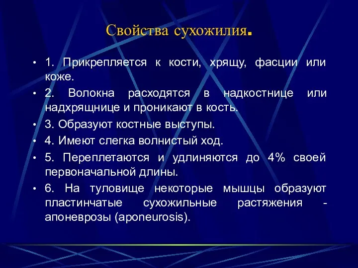 Свойства сухожилия. 1. Прикрепляется к кости, хрящу, фасции или коже.