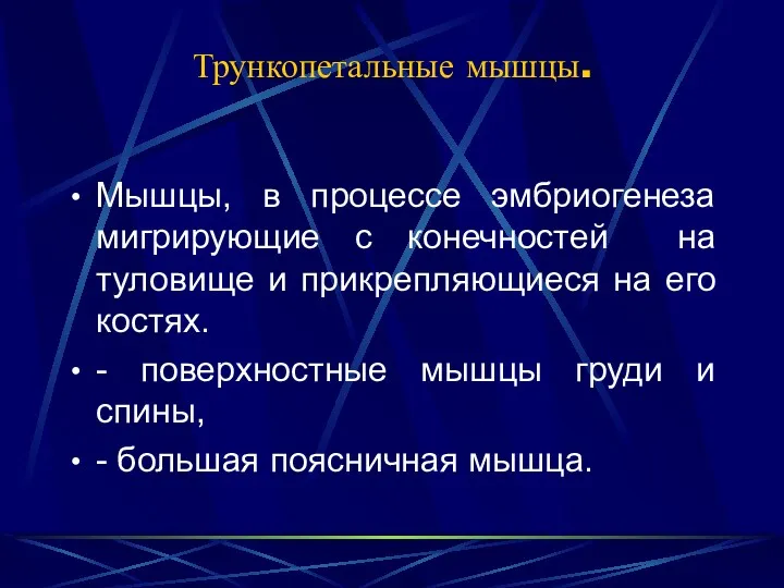 Трункопетальные мышцы. Мышцы, в процессе эмбриогенеза мигрирующие с конечностей на