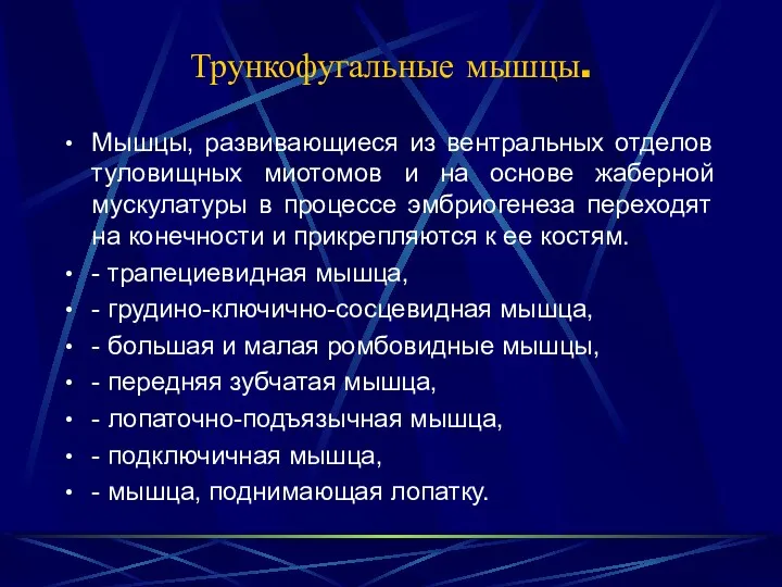 Трункофугальные мышцы. Мышцы, развивающиеся из вентральных отделов туловищных миотомов и