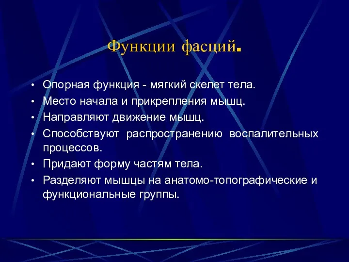 Функции фасций. Опорная функция - мягкий скелет тела. Место начала