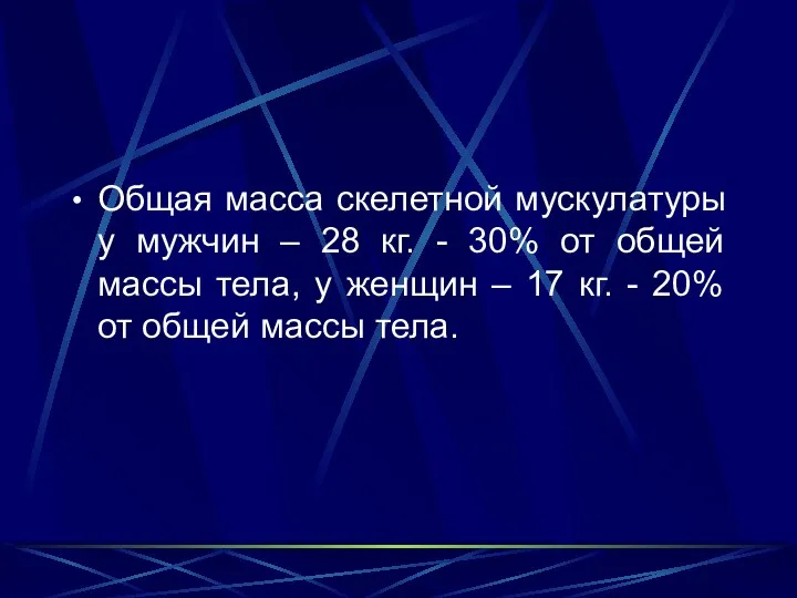 Общая масса скелетной мускулатуры у мужчин – 28 кг. -