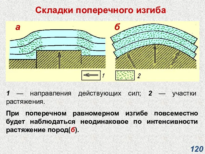 Складки поперечного изгиба 1 — направления действующих сил; 2 —