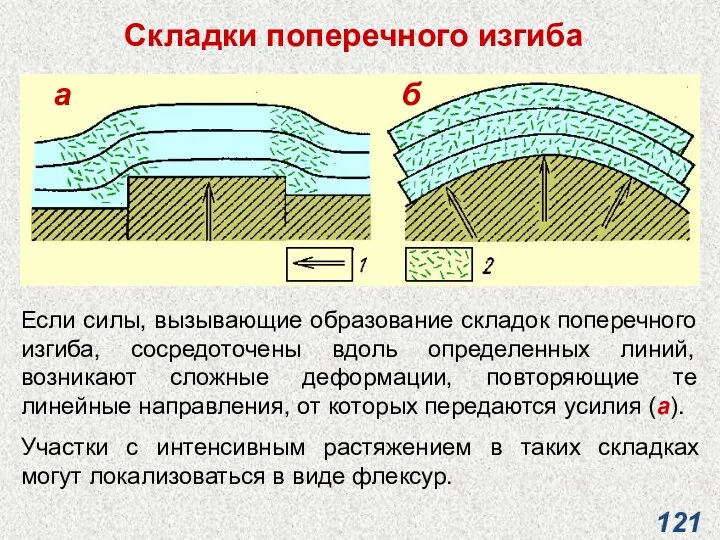 Складки поперечного изгиба Если силы, вызывающие образование складок поперечного изгиба,