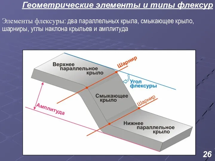 Геометрические элементы и типы флексур Элементы флексуры: два параллельных крыла,