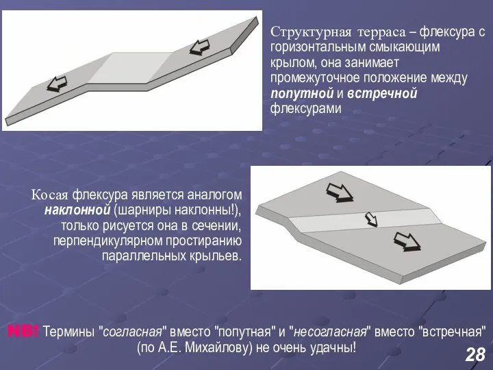 Структурная терраса – флексура с горизонтальным смыкающим крылом, она занимает