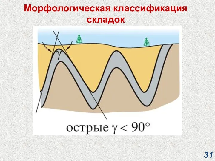 Морфологическая классификация складок