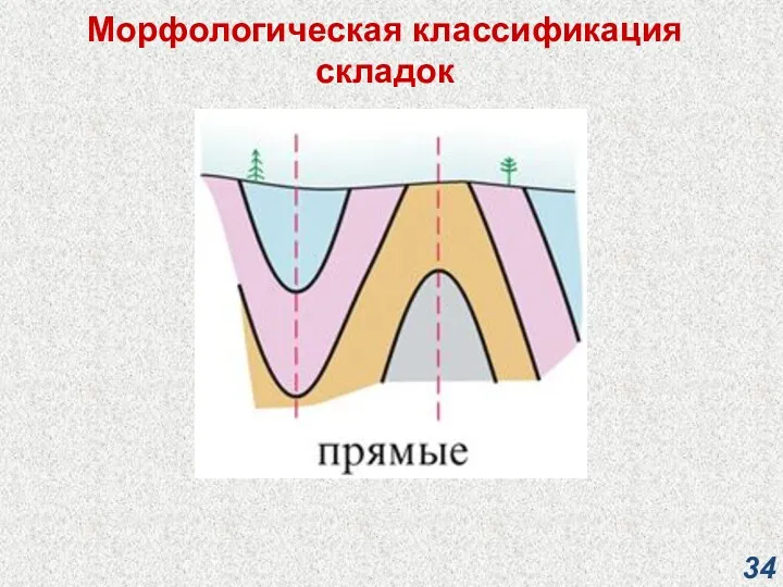 Морфологическая классификация складок