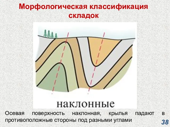 Морфологическая классификация складок Осевая поверхность наклонная, крылья падают в противоположные стороны под разными углами