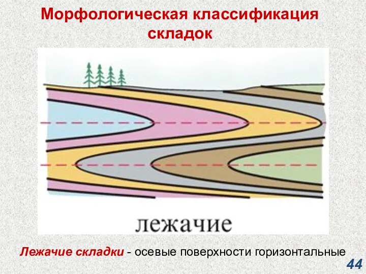 Морфологическая классификация складок Лежачие складки - осевые поверхности горизонтальные