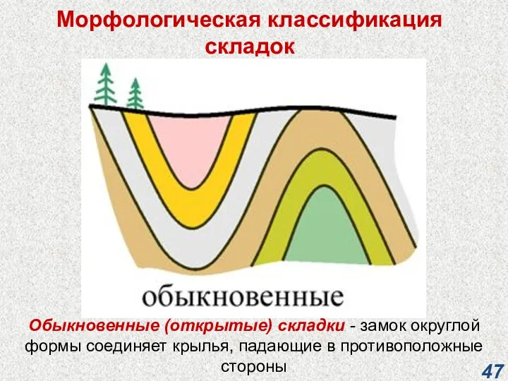 Морфологическая классификация складок Обыкновенные (открытые) складки - замок округлой формы соединяет крылья, падающие в противоположные стороны