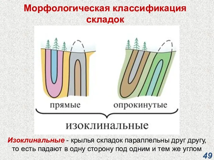 Морфологическая классификация складок Изоклинальные - крылья складок параллельны друг другу,