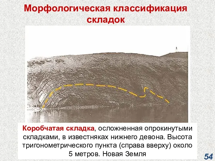 Морфологическая классификация складок Коробчатая складка, осложненная опрокинутыми складками, в известняках