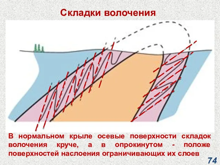 Складки волочения В нормальном крыле осевые поверхности складок волочения круче,