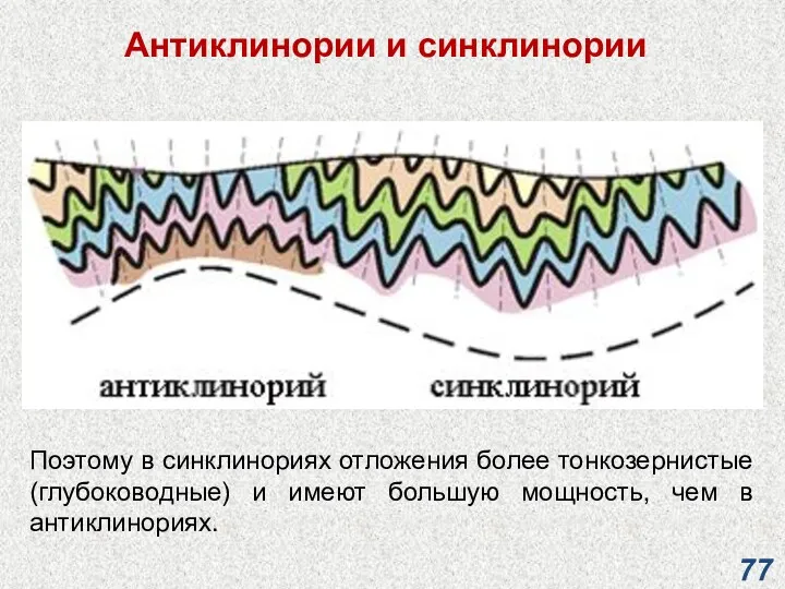 Антиклинории и синклинории Поэтому в синклинориях отложения более тонкозернистые (глубоководные)