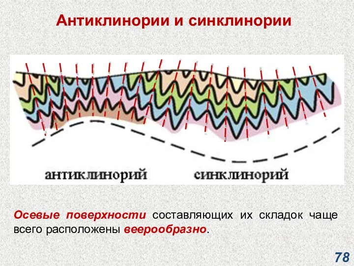 Антиклинории и синклинории Осевые поверхности составляющих их складок чаще всего расположены веерообразно.