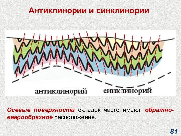 Антиклинории и синклинории Осевые поверхности складок часто имеют обратно-веерообразное расположение.