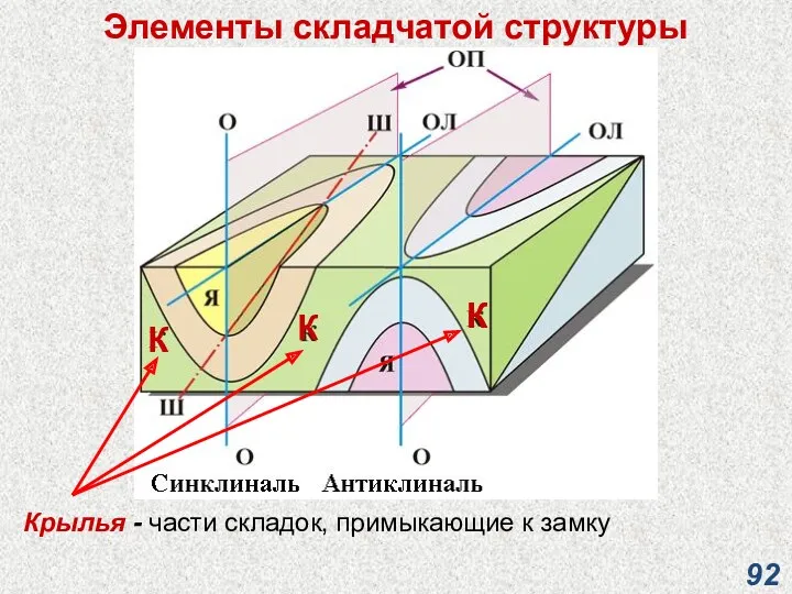 Элементы складчатой структуры Крылья - части складок, примыкающие к замку К К К К