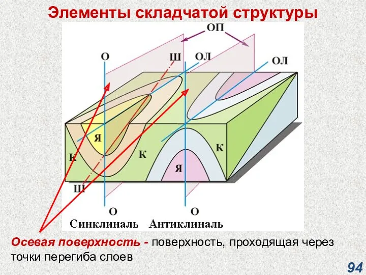 Элементы складчатой структуры Осевая поверхность - поверхность, проходящая через точки перегиба слоев