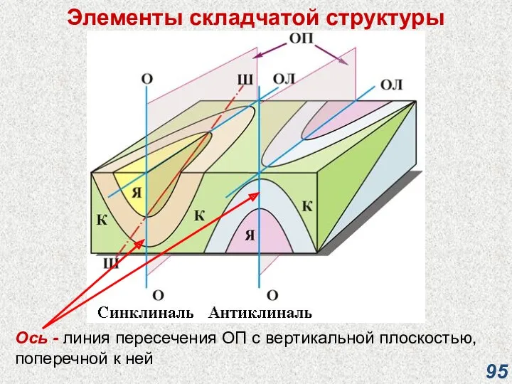 Элементы складчатой структуры Ось - линия пересечения ОП с вертикальной плоскостью, поперечной к ней