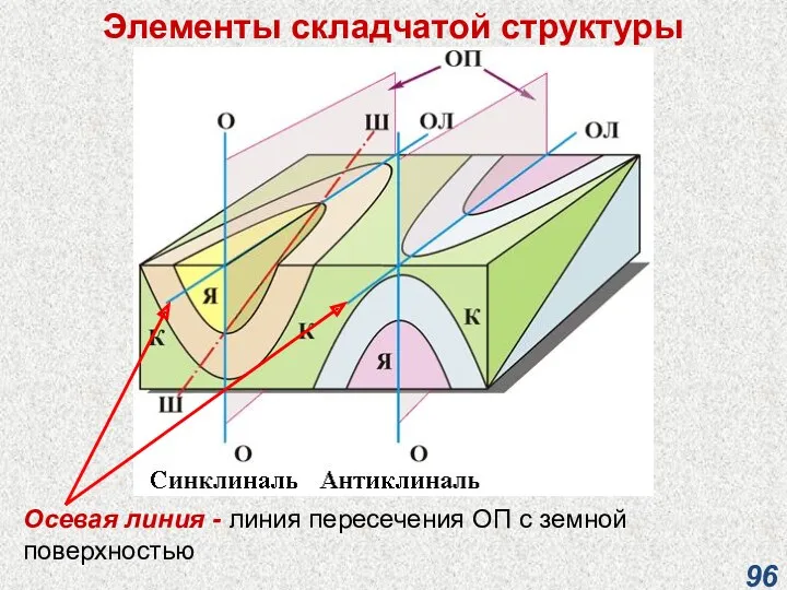 Элементы складчатой структуры Осевая линия - линия пересечения ОП с земной поверхностью