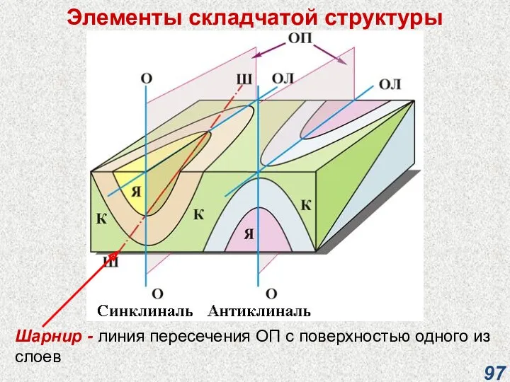 Элементы складчатой структуры Шарнир - линия пересечения ОП с поверхностью одного из слоев