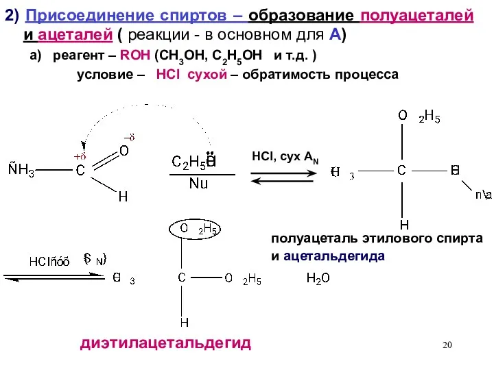 2) Присоединение спиртов – образование полуацеталей и ацеталей ( реакции