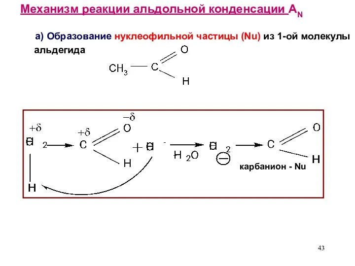 Механизм реакции альдольной конденсации AN а) Образование нуклеофильной частицы (Nu)