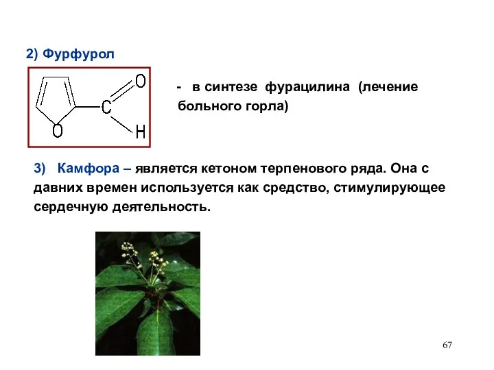 2) Фурфурол в синтезе фурацилина (лечение больного горла) 3) Камфора