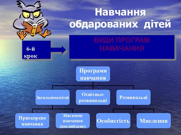 Навчання обдарованих дітей 6-й крок ВИДИ ПРОГРАМ НАВАЧАННЯ