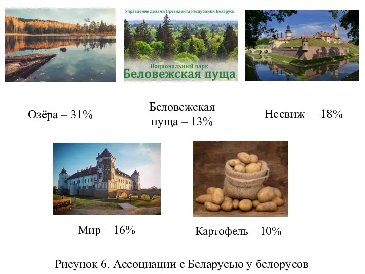 Беловежская пуща – 13% Озёра – 31% Несвиж – 18%