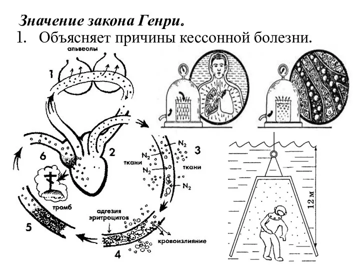 Значение закона Генри. Объясняет причины кессонной болезни.