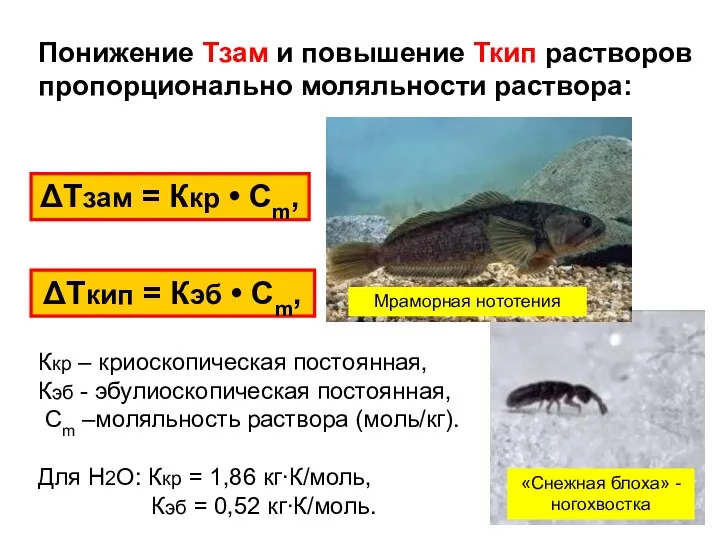 Понижение Тзам и повышение Ткип растворов пропорционально моляльности раствора: ΔТзам