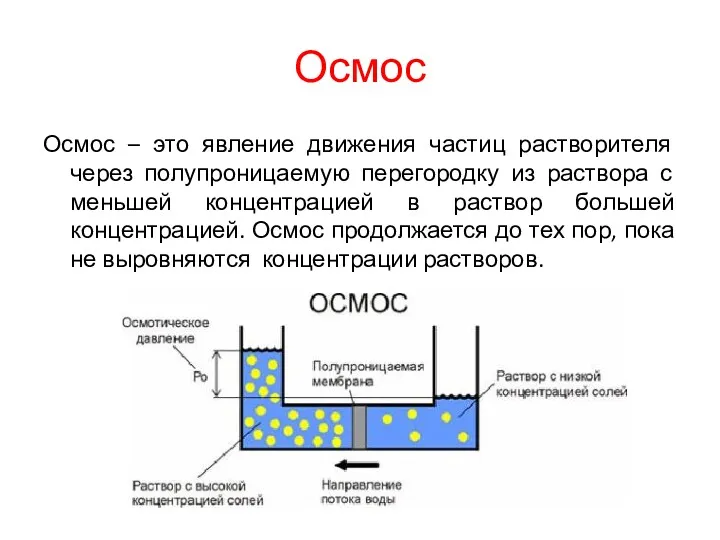 Осмос Осмос – это явление движения частиц растворителя через полупроницаемую