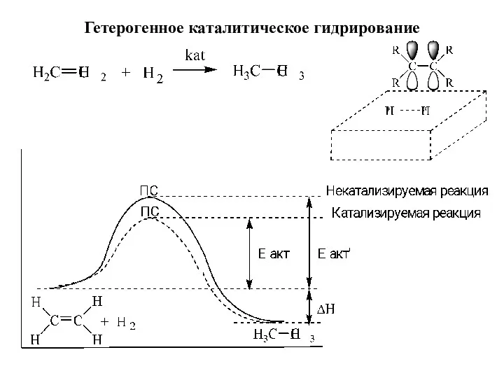 Гетерогенное каталитическое гидрирование