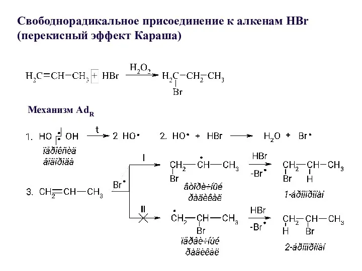 Механизм АdR Свободнорадикальное присоединение к алкенам HBr (перекисный эффект Караша)